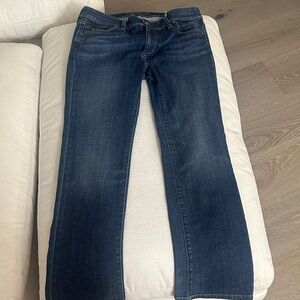 Banana Republic Urban Straight Petite Jeans